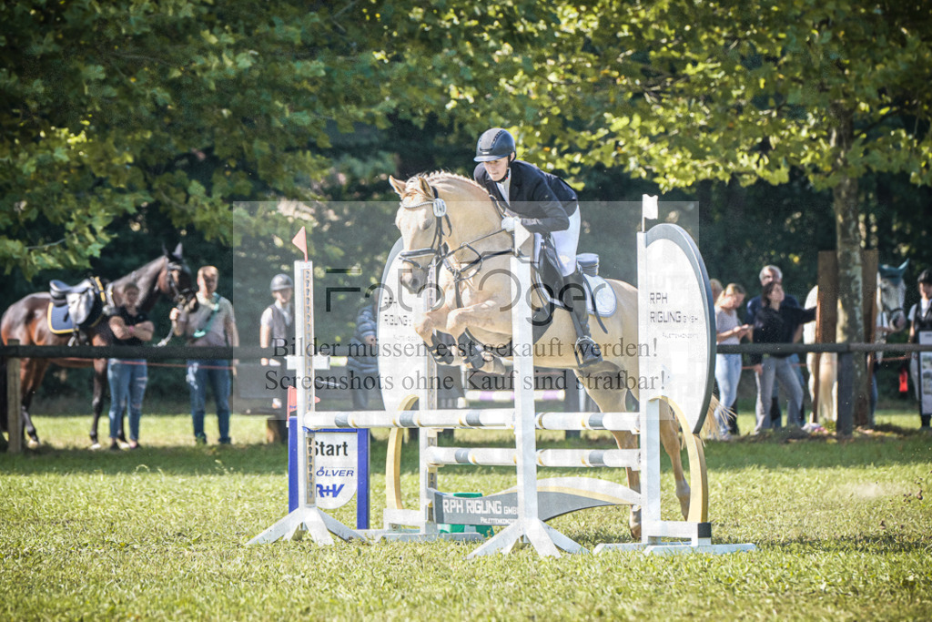 DOS_1099 | Entdecke hochwertige Reitturnierfotos von Foto Oger. Professionell, emotional und authentisch – jetzt Lieblingsmomente im Shop bestellen.Deutschlandweite Turnierfotografie. - Realisiert mit Pictrs.com