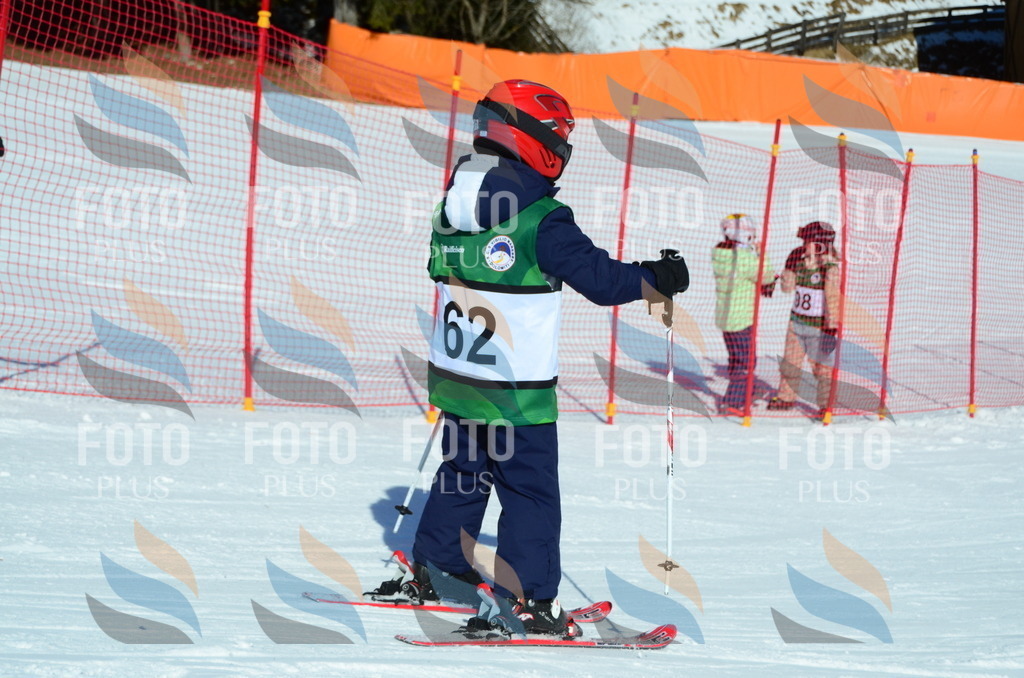 C5390 | holidayphoto