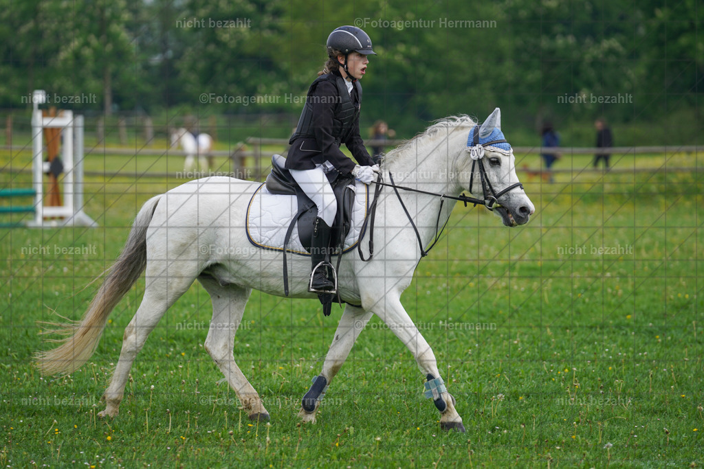 20240509-FAH02098 | Turnierbilder der Turnierfotografen Bayern, Pferdesport Fotografie, Reitsportbilder, Turnier Landberg am Lech, Turnierbilder bayern, Fotoagentur Herrmann