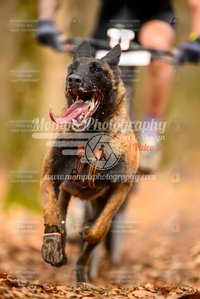 MompixPhotography_Habay2025_SA_Bike-103 | PayLife