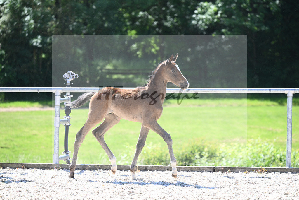 Kat-Nr. 26 HF Vingino_Ruhland_16230348 | hf-fotografie - Realisiert mit Pictrs.com