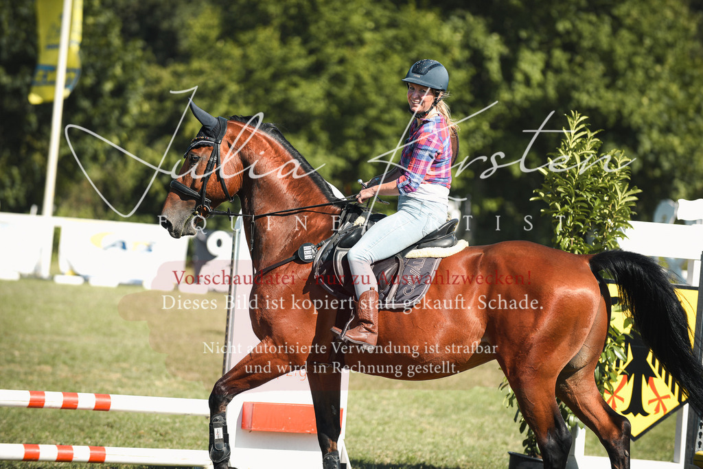 DSC_7767 | Pferde- und Turnierfotografie in Westsachsen. Pferdeportraits, Auftragszeichnungen und intuitive Kunst.