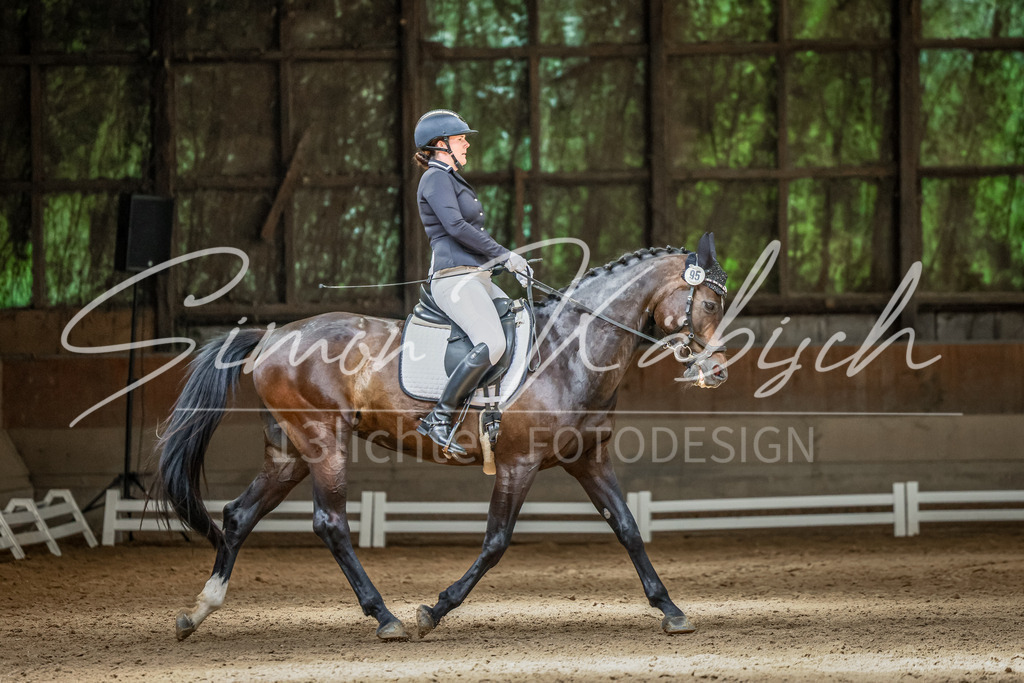 20250621-_3LI6991 | Tierfotografie Pferde, Hunde, Katzen, Haustiere.
Turnierfotografie Reitturniere, Reiten, Springreiten, Dressur in Hanau, dem Main-Kinzig-Kreis und dem Rhein-Main- Gebiet um Frankfurt