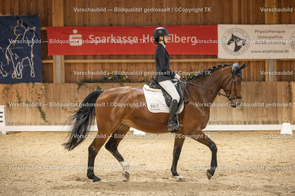 _D5A0115 | Emotionale Pferde- & People-Fotografie rund um Heidelberg, Leimen & Umgebung. Natürliche Fotos von Pferd, Mensch & Familie. Jetzt Termin sichern!