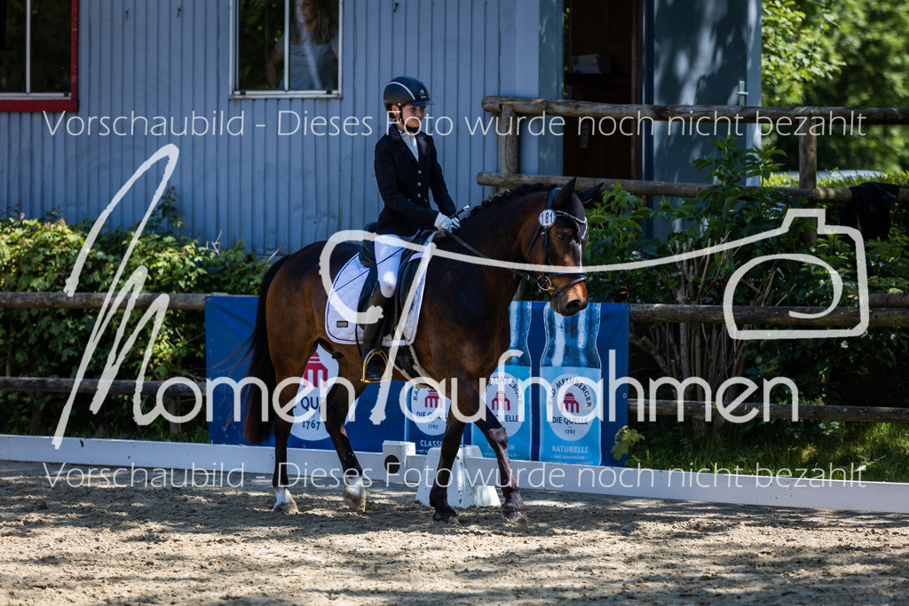 Donop24-RWB-027 | MomenTaufnahmen Pferdesportfotos