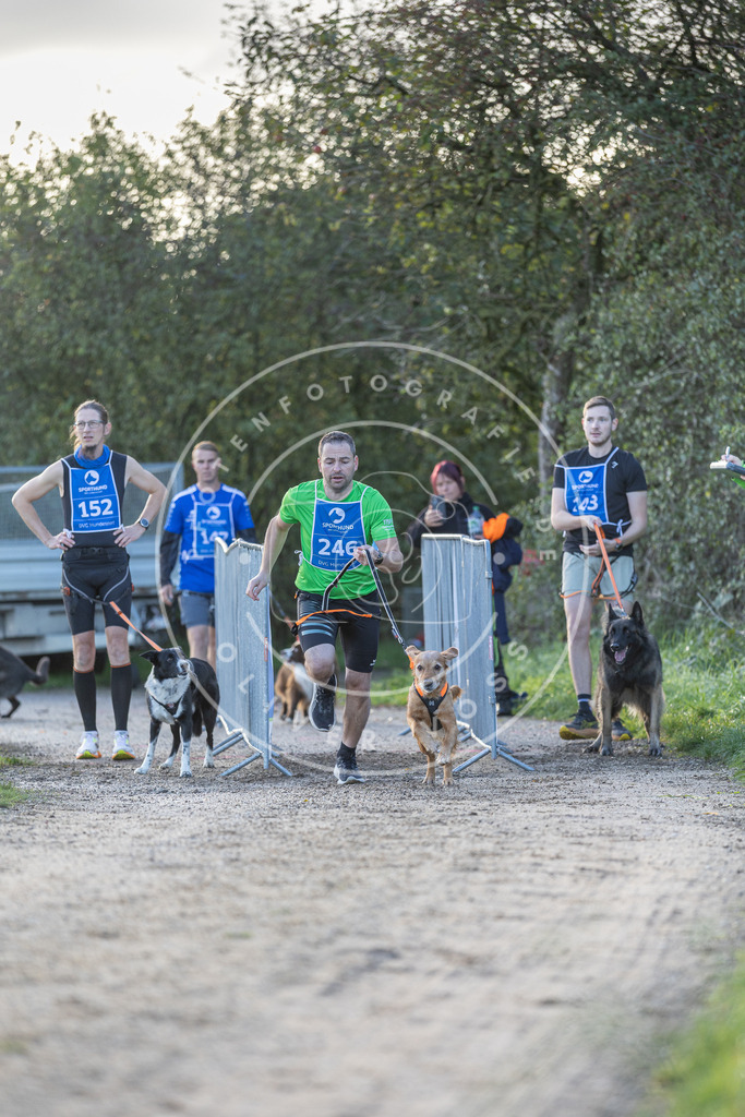Pfotenfotografie.de_DV3A2711 | Hundefotografie, Tierfotograf, Pfotenfotografie, Fotoshooting Hund, Hunde Portrait, Hundesport, Hundeportraits, Heideshooting, Hunde, Sportfotograf, Hundefotograf, Turnierhundsport, THS, canicross - Realisiert mit Pictrs.com