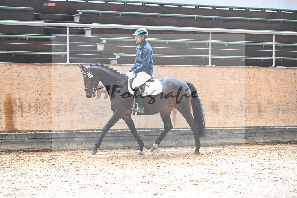 Kat-Nr. 9 Sweet Nightlive v. Neros_Strauss_50250127 | hf-fotografie - Realisiert mit Pictrs.com