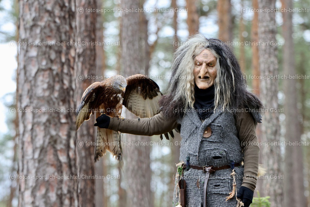 2X5A4644 | fotos-sportlich-belichtet - Realisiert mit Pictrs.com