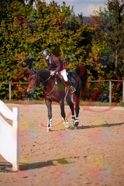 2026_10_03_Siefer-Hof_154400_Z81_62310297 | Professionelle Reitsport-, Turnier- und Eventfotografie von Robert Broda. Galerien mit ausgewählten und bearbeiteten Bildern direkt online ansehen und bestellen.