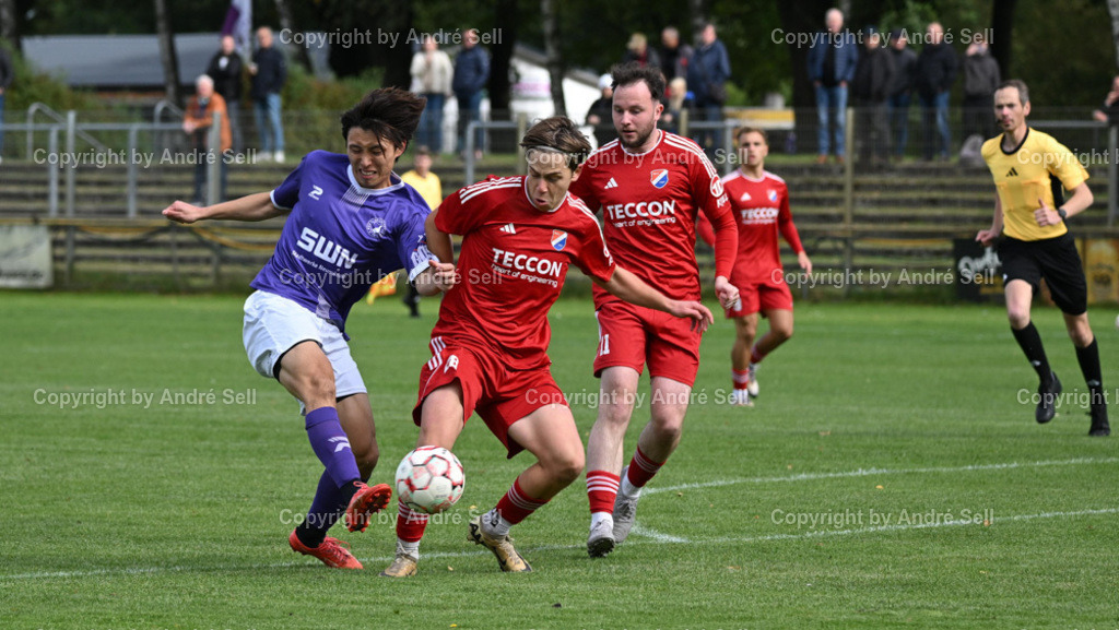 VfR Neumünster vs SpVg Eidertal Molfsee | Riku Deguchi (VfR #22) / Marcel Wasielewski (Molfsee #28) &amp; Fynn Mortensen (Molfsee #11) - Fußball-Oberliga Männer 2024/2025 / VfR Neumünster vs SpVg Eidertal Molfsee / VfR-Stadion / Neumünster / 29.09.24 - Realisiert mit Pictrs.com