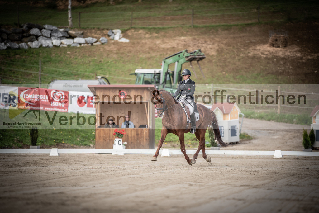 DSC_1504 | equestrian-live-com