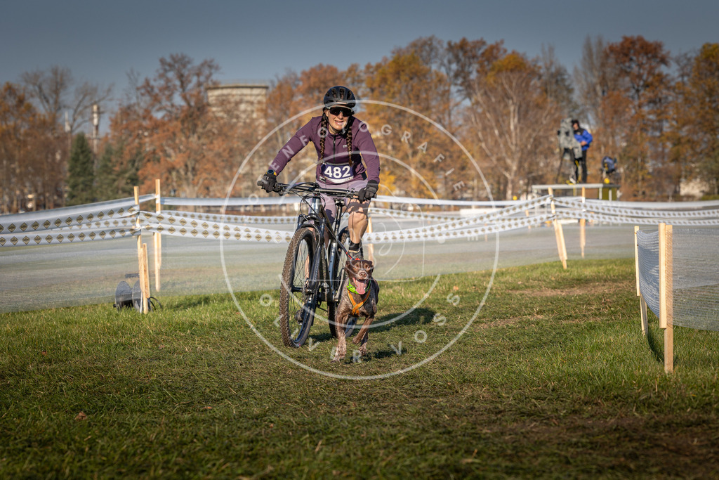 CaniXpix_0L8A4715 | Hundefotografie, Tierfotograf, Pfotenfotografie, Fotoshooting Hund, Hunde Portrait, Hundesport, Hundeportraits, Heideshooting, Hunde, Sportfotograf, Hundefotograf, Turnierhundsport, THS,  - Realisiert mit Pictrs.com