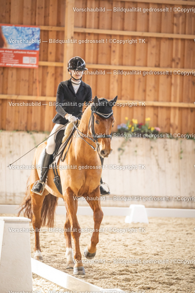 _D5A9580 | Emotionale Pferde- & People-Fotografie rund um Heidelberg, Leimen & Umgebung. Natürliche Fotos von Pferd, Mensch & Familie. Jetzt Termin sichern!