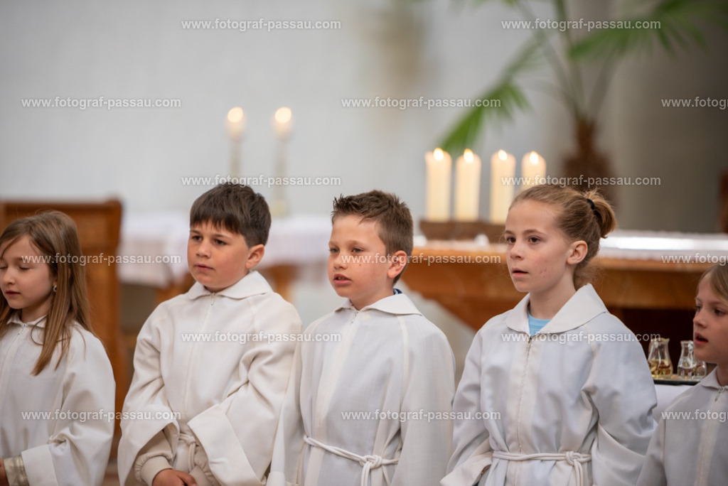 _DSC2679 | Hier finden Sie die Online Foto-Galerie von fotograf-passau.com und marius-handrugan.de. Suchen Sie sich direkt Ihre Lieblingsbilder aus, ob als Ausdruck oder Download. - Realisiert mit Pictrs.com