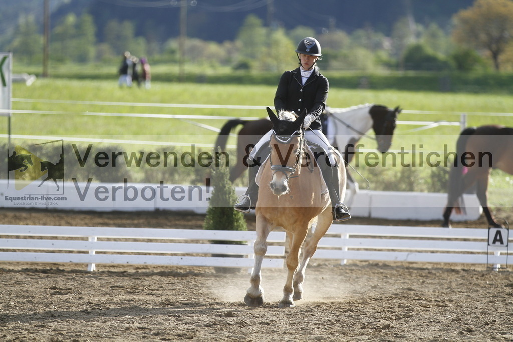 _MG_4297 | equestrian-live-com