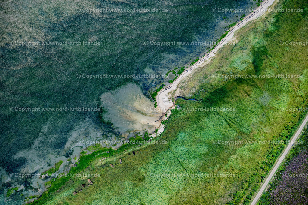 Sylt_Rantum_Oststrand_Höhe_Sansibar_ELS_9848130825 | SYLT 13.08.2025 Wattenmeer an der Meeres-Küste der Nordsee in Rantum (Sylt) im Bundesland Schleswig-Holstein. // Wadden Sea on the sea coast of the North Sea in Rantum (Sylt) in the state Schleswig-Holstein.an Klent on the sea coast of the North Sea in Rantum (Sylt) in the state Schleswig-Holstein. Foto: Martin Elsen