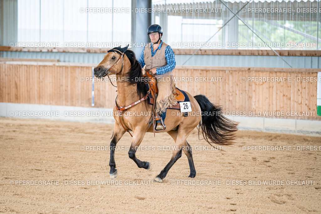 DSC08252 | Pferdegrafie