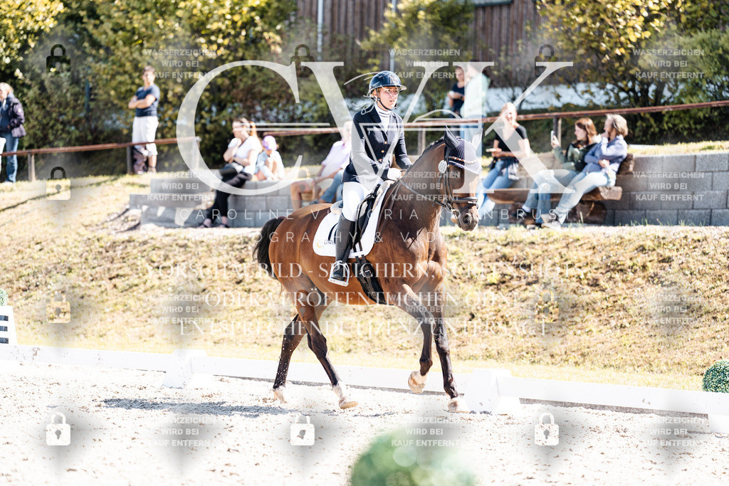 CK903963 | Turnierfotografie Pferdefotografie Trier Rheinland-Pfalz Pferdesport Reitsport Tierfotografie Sportfotografie Pferdevideo Pferdevideografie Equestrianvideography equestrianphotography  - Realisiert mit Pictrs.com