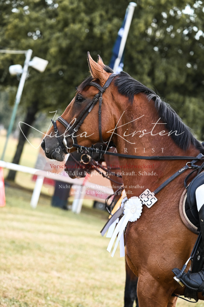 DSC_7658 | Pferde- und Turnierfotografie in Westsachsen. Pferdeportraits, Auftragszeichnungen und intuitive Kunst.