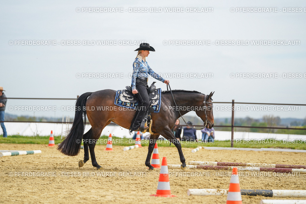 DSC03564 | Pferdegrafie