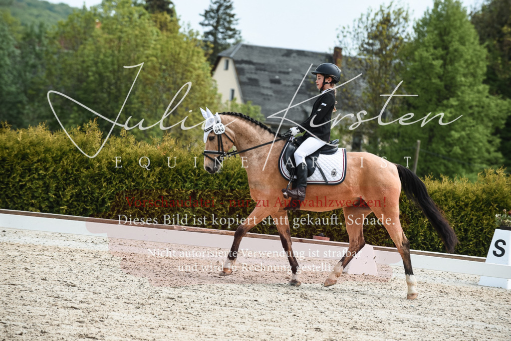 20230518_JK-Röhrsdorf-11-0190 | Pferde- und Turnierfotografie in Westsachsen. Pferdeportraits, Auftragszeichnungen und intuitive Kunst.