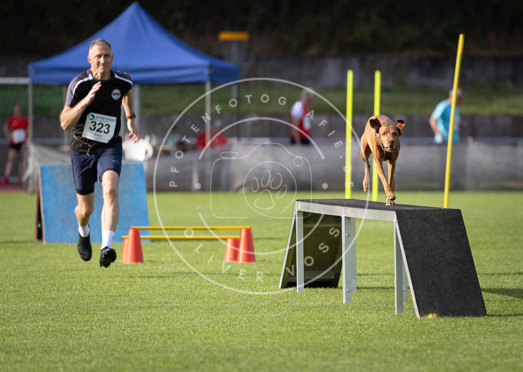 Pfotenfotografie_DV3A2557 | Hundefotografie, Tierfotograf, Pfotenfotografie, Fotoshooting Hund, Hunde Portrait, Hundesport, Hundeportraits, Heideshooting, Hunde, Sportfotograf, Hundefotograf, Turnierhundsport, THS,  - Realisiert mit Pictrs.com