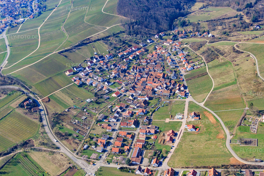 Luftbild: Ortsansicht von Nordosten im Ortsteil Gleishorbach in Gleiszellen-Gleishorbach im Bundesland Rheinland-Pfalz in Deutschland. Foto: IMG_38352.jpg vom 20.03.2011 durch Werner Riehm/FLY-FOTO.deAuflösung des Originals: 4752 x 3168 px