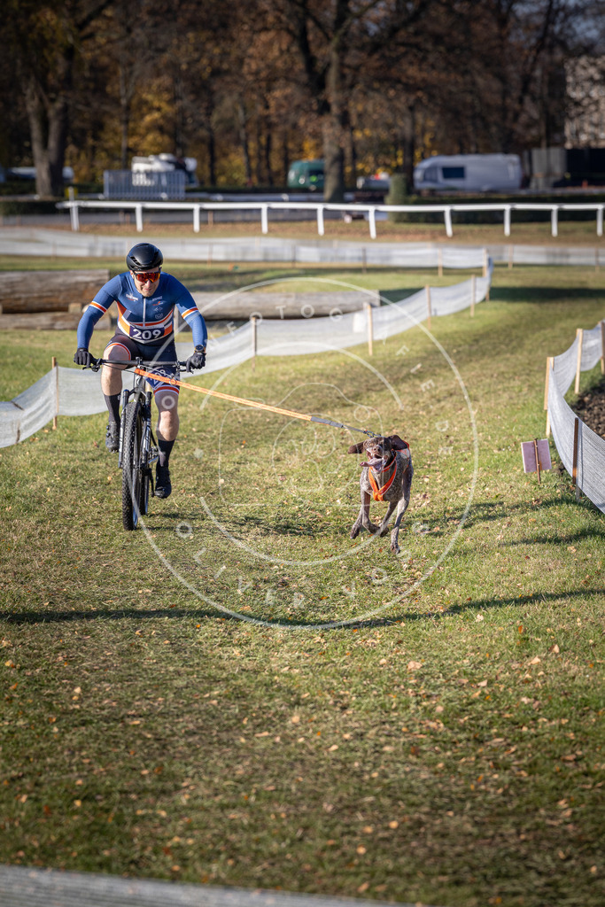 CaniXpix_DV3A3029 | Hundefotografie, Tierfotograf, Pfotenfotografie, Fotoshooting Hund, Hunde Portrait, Hundesport, Hundeportraits, Heideshooting, Hunde, Sportfotograf, Hundefotograf, Turnierhundsport, THS,  - Realisiert mit Pictrs.com