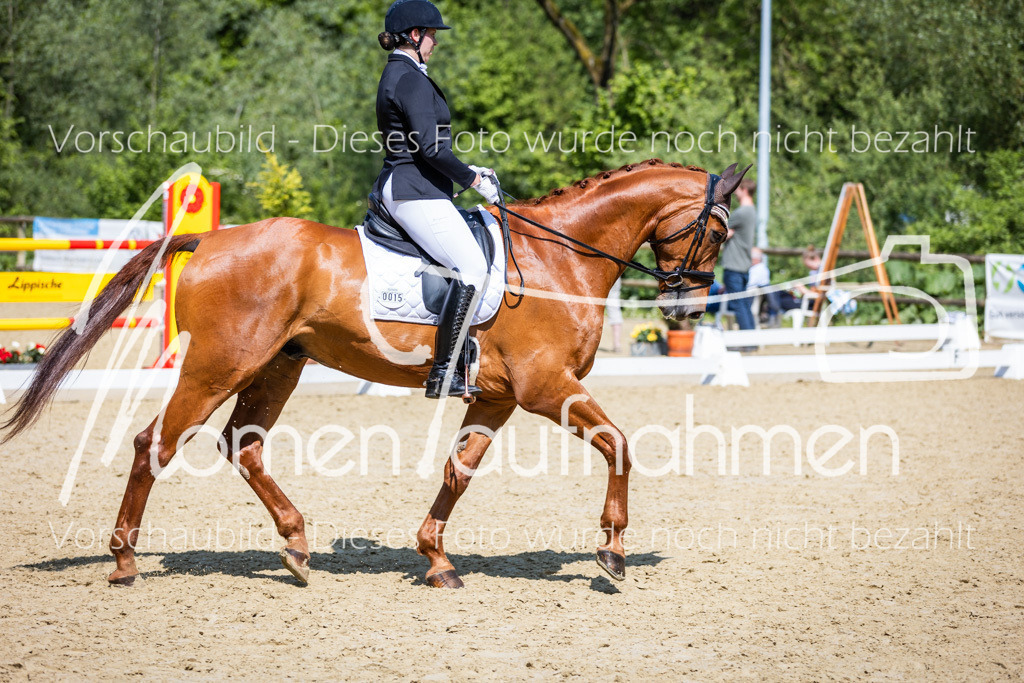 Donop24-L-Dre-064 | MomenTaufnahmen Pferdesportfotos