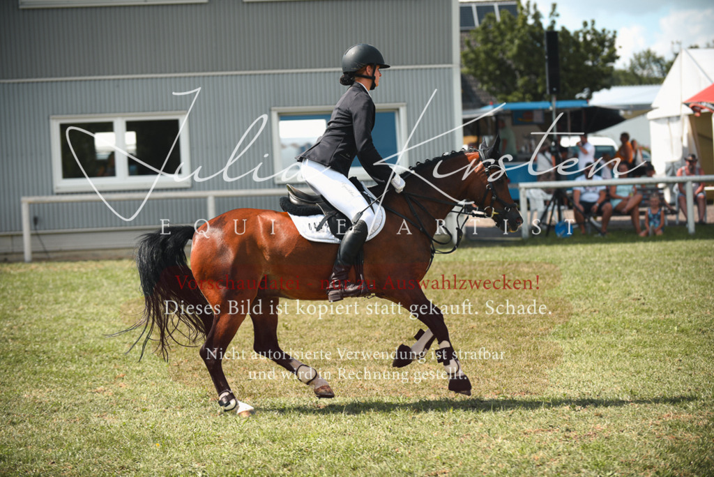 DSC_6795 | Pferde- und Turnierfotografie in Westsachsen. Pferdeportraits, Auftragszeichnungen und intuitive Kunst.