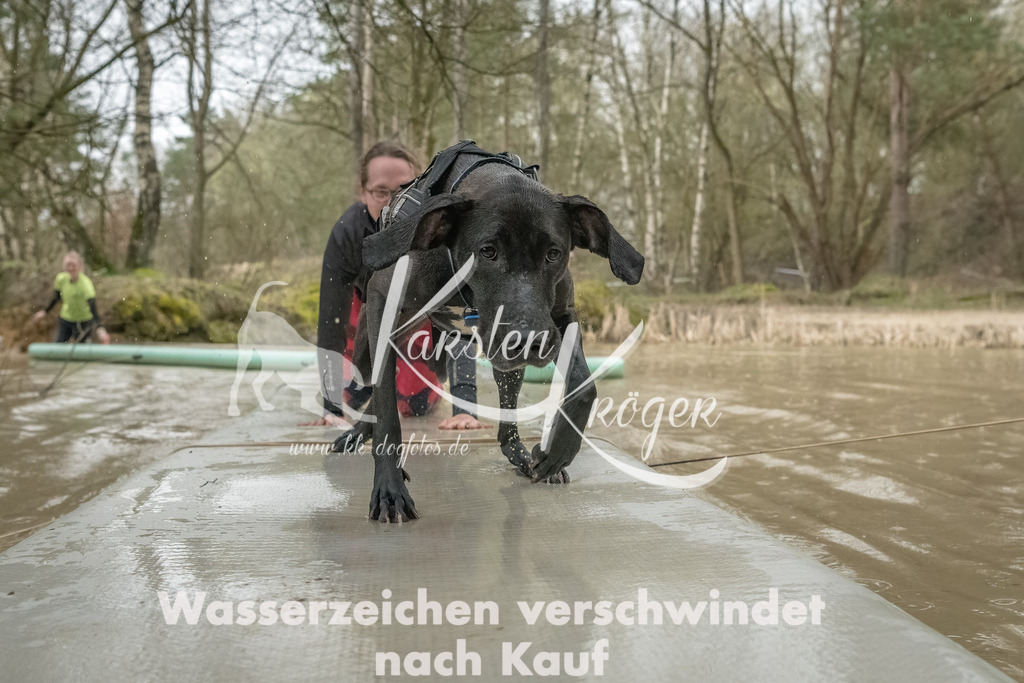 1042_ZZ93264-Bearbeitet | kk-dogfotos
