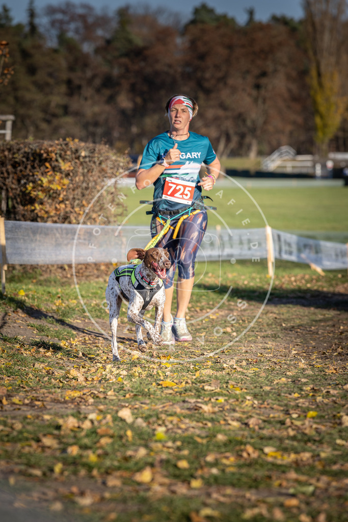 CaniXpix_DV3A1933 | Hundefotografie, Tierfotograf, Pfotenfotografie, Fotoshooting Hund, Hunde Portrait, Hundesport, Hundeportraits, Heideshooting, Hunde, Sportfotograf, Hundefotograf, Turnierhundsport, THS,  - Realisiert mit Pictrs.com