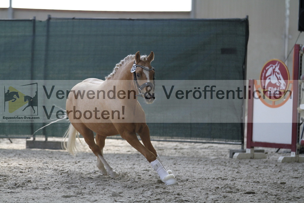 _MG_9754 | equestrian-live-com