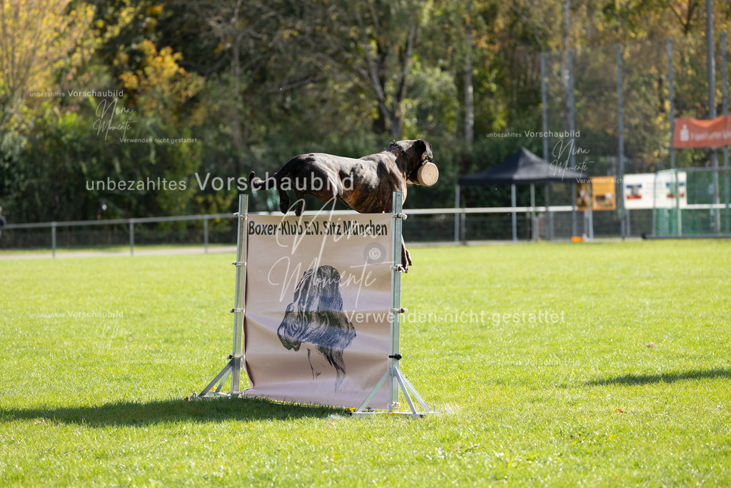 _16A6842 | Einzigartige Fotos von Hunden & Menschen –Actionfotos, Portraits, Vereinsaufnahmen & Paarshootings – authentisch, lebendig & mit Herz.