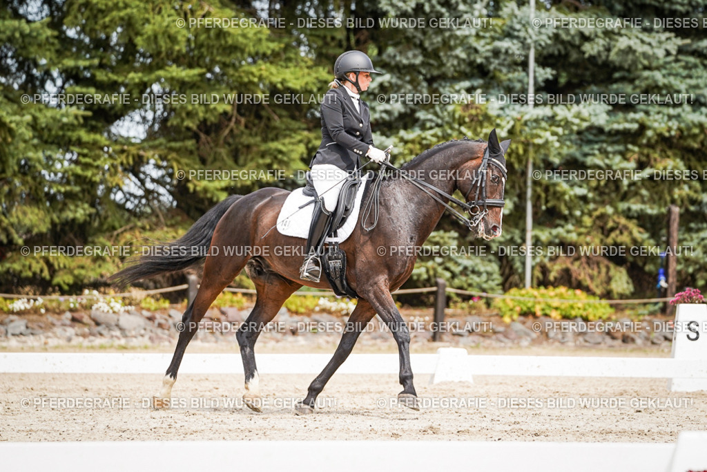 DSC05681 | Pferdegrafie