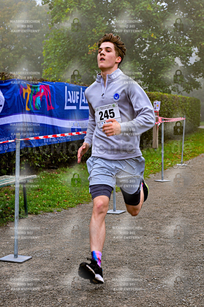 Z8N_1691 | la-psv - Realisiert mit Pictrs.com