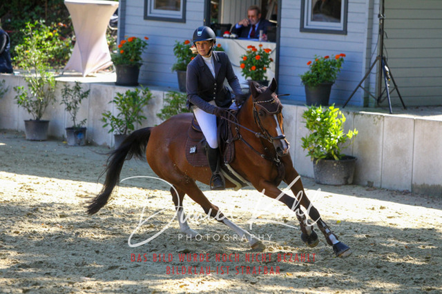 DKP43053 | Turniersportfotografie; Pferdefotografie; Dressurfotografie