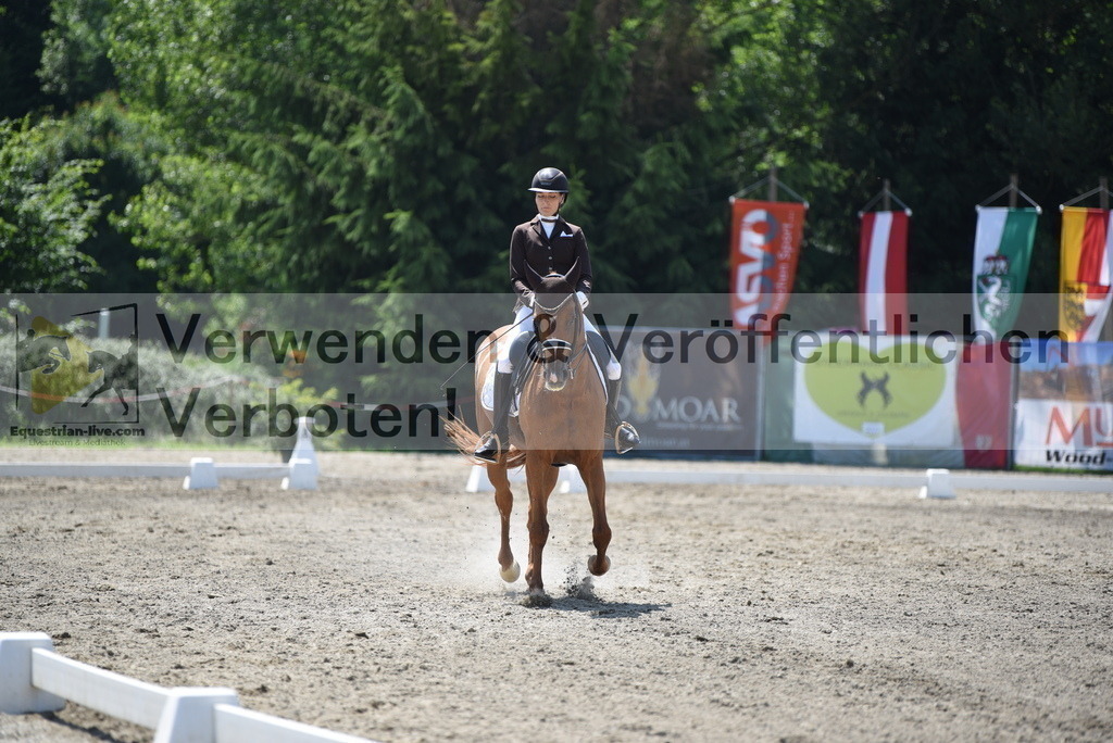 DSC_1416 | equestrian-live-com