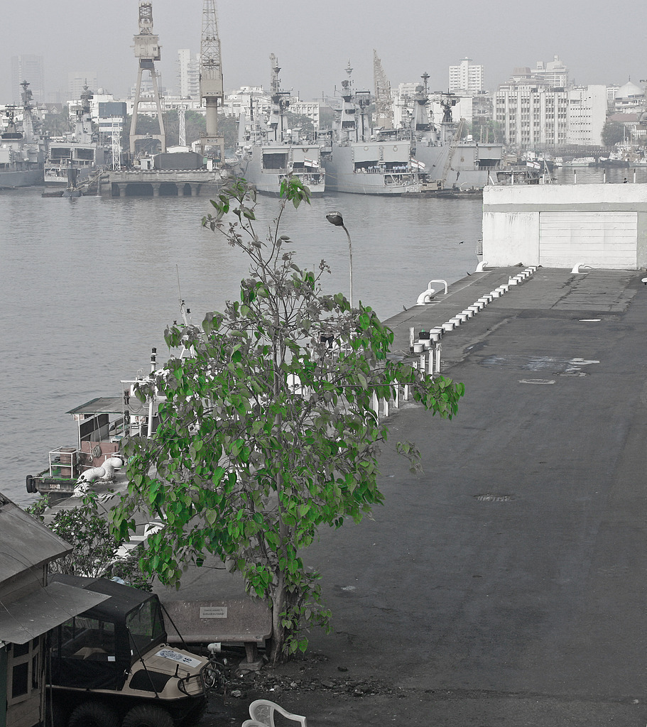 Goa 048a | ansichtssache