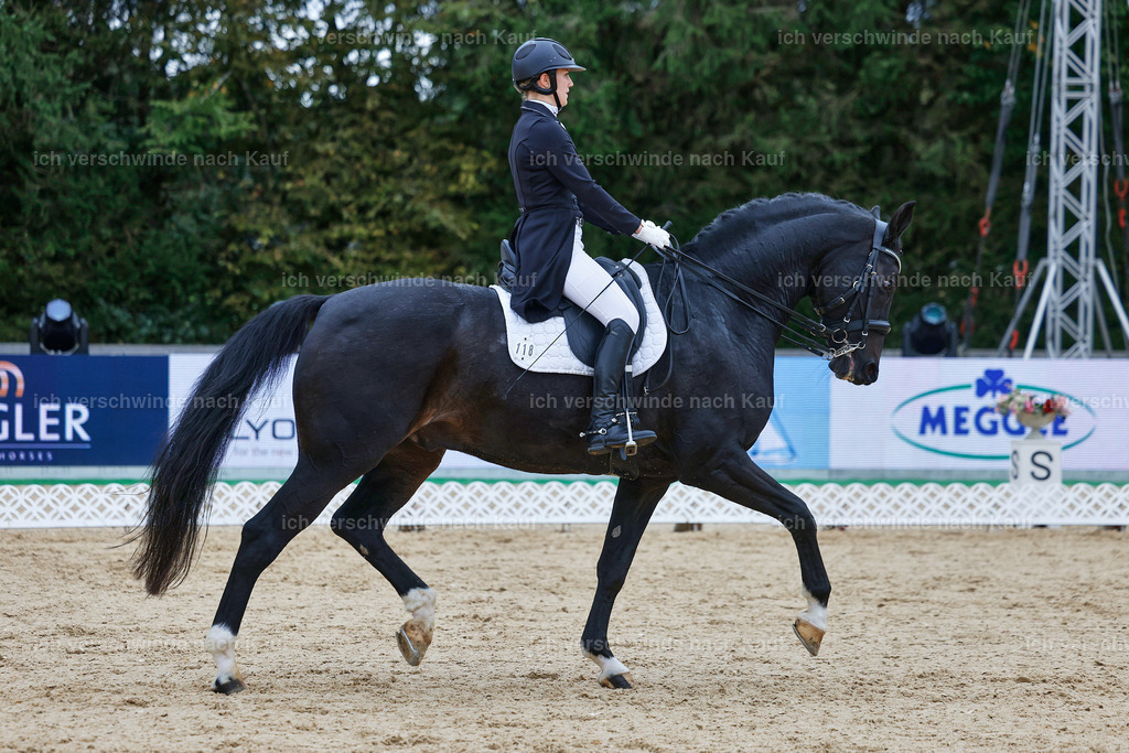 8_1-118-Klasse S_  -StoibPH-3897 | working equitationturnier fotograf videograf stoibphotography marixx film working equitation deutschland reitsport turnierfotografie eventfotografie equestrian events