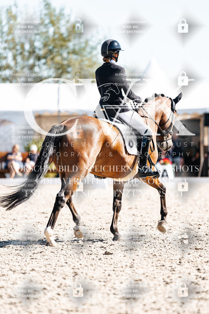 CK909248 | Turnierfotografie Pferdefotografie Trier Rheinland-Pfalz Pferdesport Reitsport Tierfotografie Sportfotografie Pferdevideo Pferdevideografie Equestrianvideography equestrianphotography  - Realisiert mit Pictrs.com