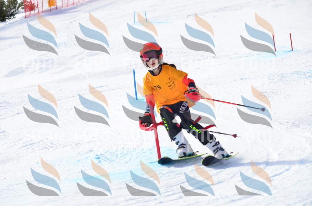 C7977 | holidayphoto