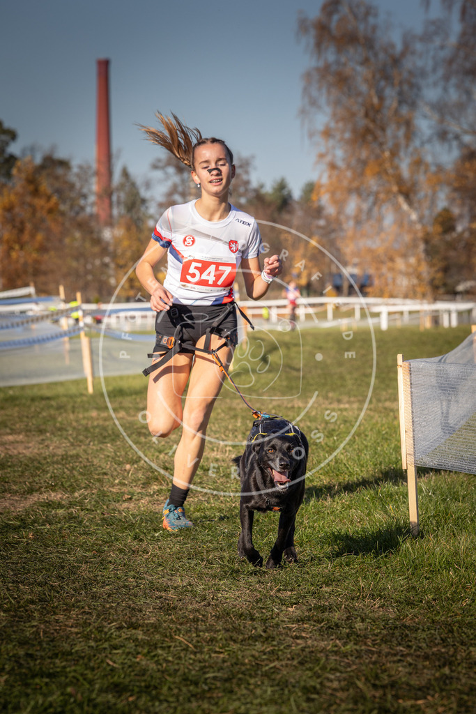 CaniXpix_0L8A7713 | Hundefotografie, Tierfotograf, Pfotenfotografie, Fotoshooting Hund, Hunde Portrait, Hundesport, Hundeportraits, Heideshooting, Hunde, Sportfotograf, Hundefotograf, Turnierhundsport, THS,  - Realisiert mit Pictrs.com