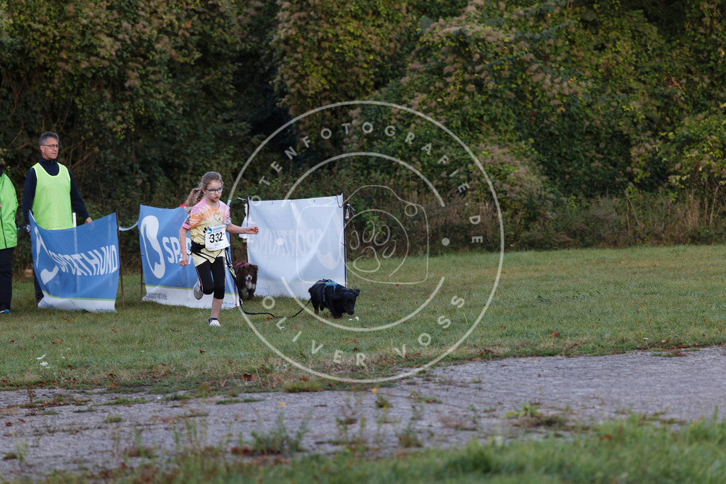 0L8A4222 | Hundefotografie, Tierfotograf, Pfotenfotografie, Fotoshooting Hund, Hunde Portrait, Hundesport, Hundeportraits, Heideshooting, Hunde, Sportfotograf, Hundefotograf, Turnierhundsport, THS,  - Realisiert mit Pictrs.com