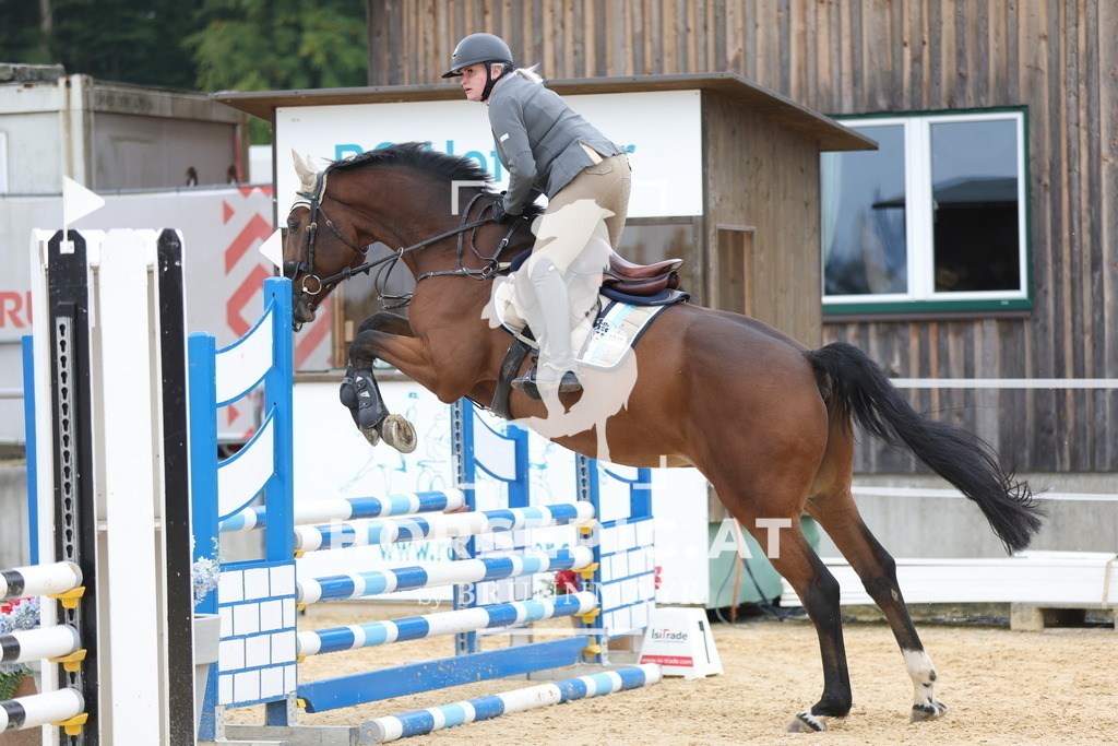0P6A3882 | Willkommen bei Brunnmayr - Design & Fotografie – Ihrem Spezialisten für Reitturniere und Pferdeveranstaltungen in Oberösterreich, Salzburg und Bayern! Seit über 17 Jahren sind wir leidenschaftlich dabei.