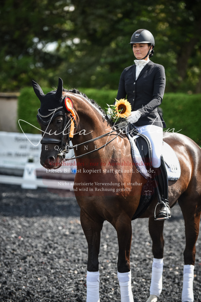 DSC_5135 | Pferde- und Turnierfotografie in Westsachsen. Pferdeportraits, Auftragszeichnungen und intuitive Kunst.