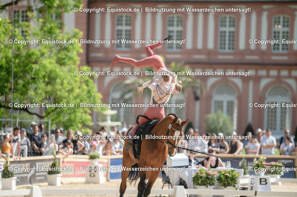 20230528_Voltigieren_NASPA_0412 | equistock