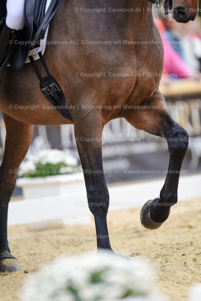 20250607_1_GP-Tour_Dressage_0095 | Foto: Thomas Hartig