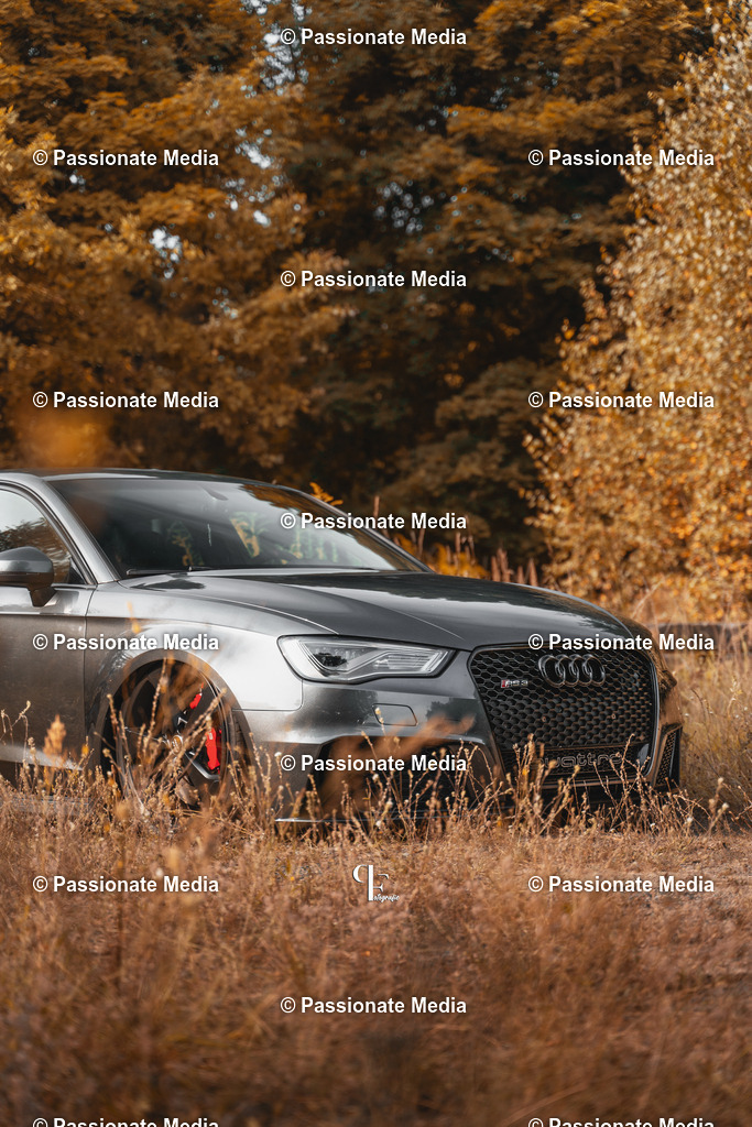 DSC07187 | Passionate Media, dein Fotograf aus Brandenburg, Märkisch Oderland, im Bereich Motorsport, Autos und Motorräder sowie Events und auch Hunde. Shootings oder auch Eventbegleitungen können bei mir gebucht we