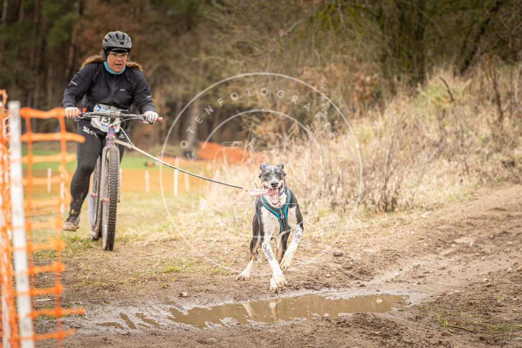 DV3A1509 | Hundefotografie, Tierfotograf, Pfotenfotografie, Fotoshooting Hund, Hunde Portrait, Hundesport, Hundeportraits, Heideshooting, Hunde, Sportfotograf, Hundefotograf, Turnierhundsport, THS,  - Realisiert mit Pictrs.com